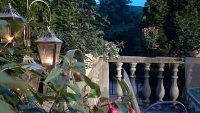 Woollywood Apartments Noszvaj 