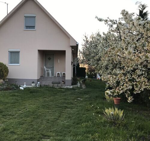 ZSUTI Apartman Tarpa 