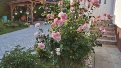 Zámor Nyaraló Keszthely 