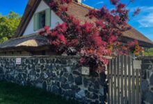 Zanzara Guesthouse Pákozd 