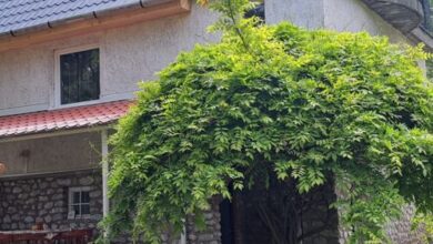 Zazen Apartman Bélapátfalva 