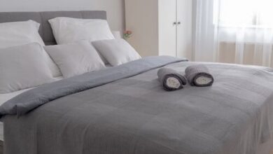 Zazi Central Apartman Kecskemét 