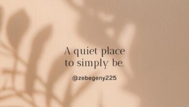 Zebegény 225 Vendégház Zebegény 