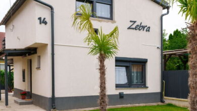 Zebra Apartman Mezőkövesd 