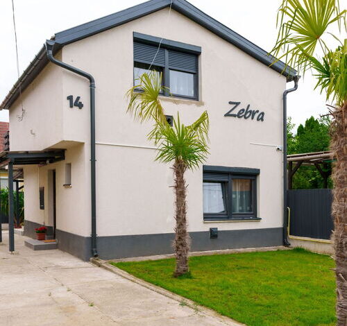 Zebra Apartman Mezőkövesd 