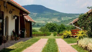 Zempléni Kemencés Vendégház Golop 