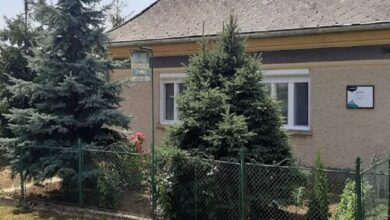 Zempléni Vadvirág Vendégház Vilyvitány 