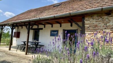 Zengő Vendégház Borgáta 