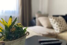 Zöld Ajtó Apartman Szeged 