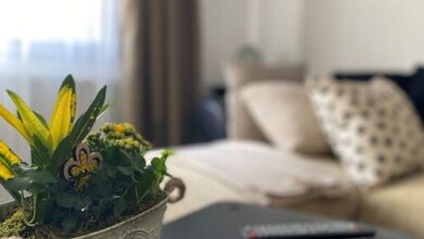 Zöld Ajtó Apartman Szeged 