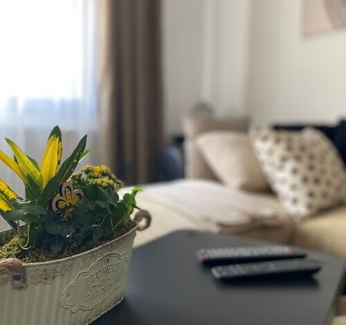 Zöld Ajtó Apartman Szeged 