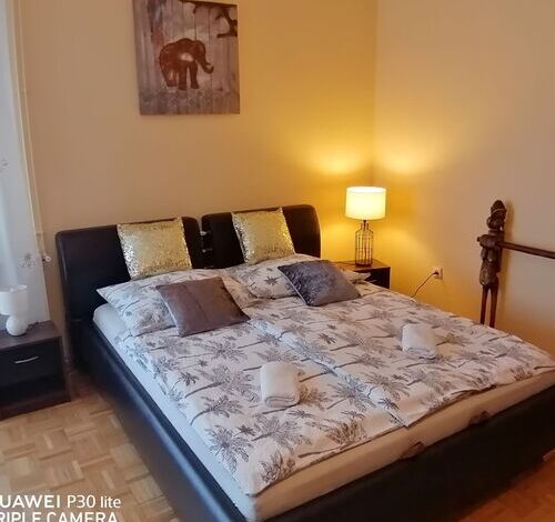 Zöld Béka Hőforrás Apartman Hajdúszoboszló 