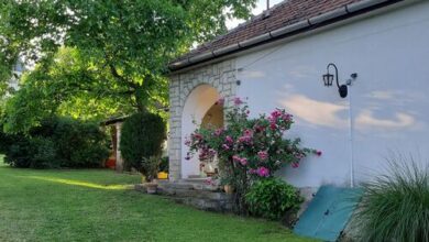 Zöld Dió Vendégház Bodrogkisfalud 