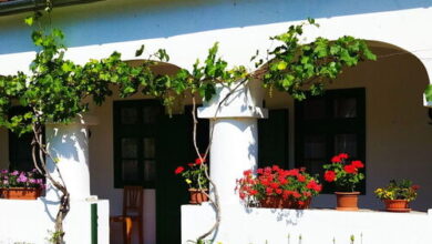 Zöld Kapu Vendégház Kőszegdoroszló 