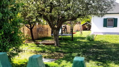 Zöld Orom Vendégház Békésszentandrás 