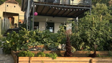 Zöld Paradicsom Vendégház Kőszegszerdahely 