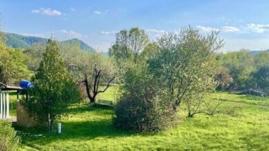 Zöld Paradicsom Vendégház Nagymaros 