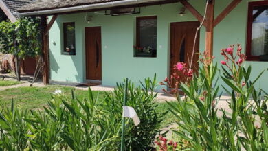 Zöld Sziget Vendégház Akasztó 