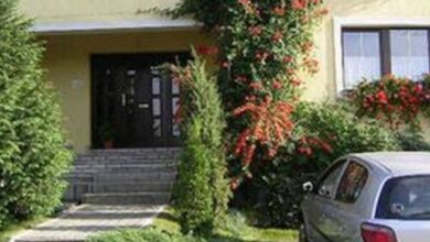 Zöld Sziget Vendégház Eger 