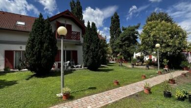 Zöld Zóna Zamárdi 