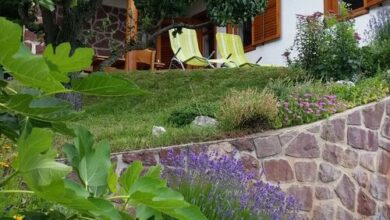 Zöldveréb Vendégház Balatongyörök 