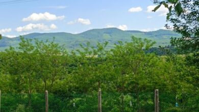 Zoli Vendégháza Mátraderecske 