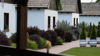 Zsindelyes Cottage Érpatak 