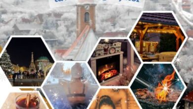 ZsongLak Vendégház Kővágószőlős 