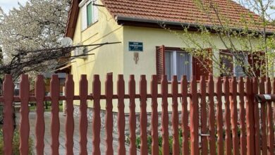 Zsóry Virágosház Szihalom 