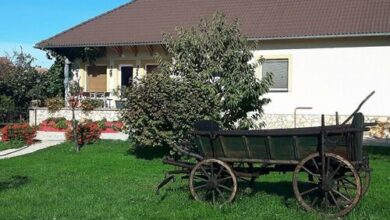 Zsuzsanna Vendégház Kapuvár 