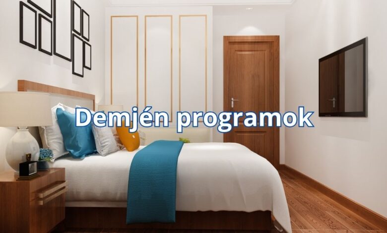 Demjén programok