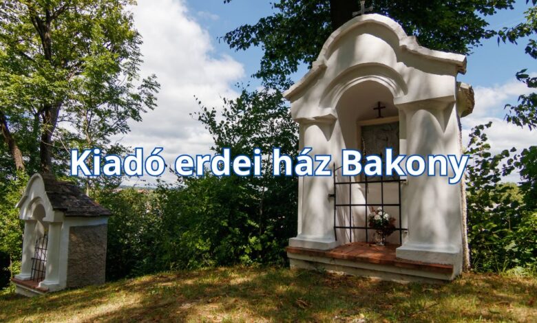 Kiadó erdei ház Bakony – szállás ötletek és tippek