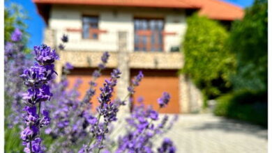 kiss on the stone Vendégház Csókakő 