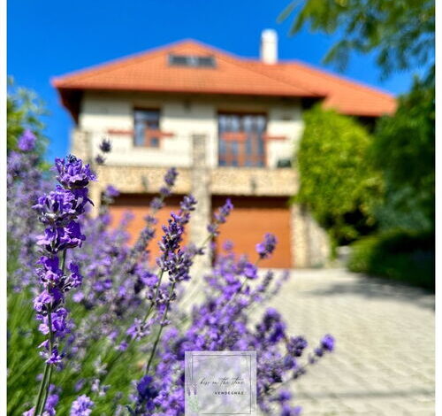 kiss on the stone Vendégház Csókakő 