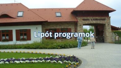 Lipót programok