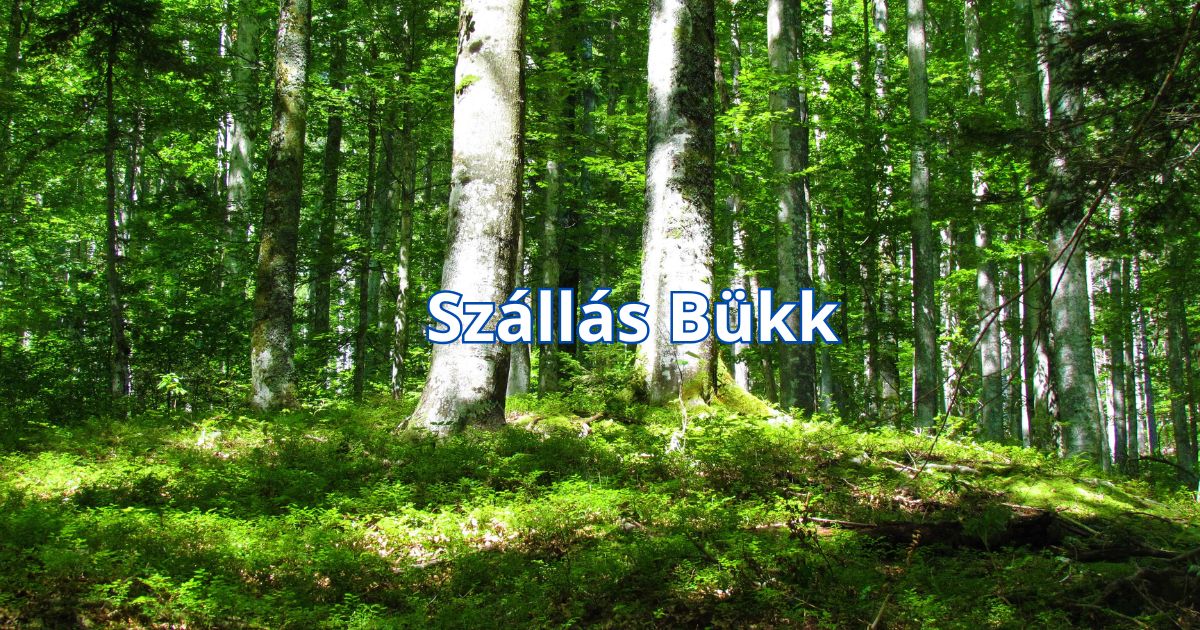 Szállás Bükk