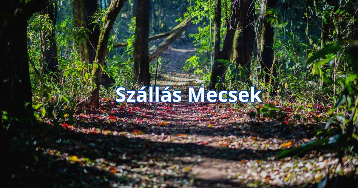 Szállás Mecsek