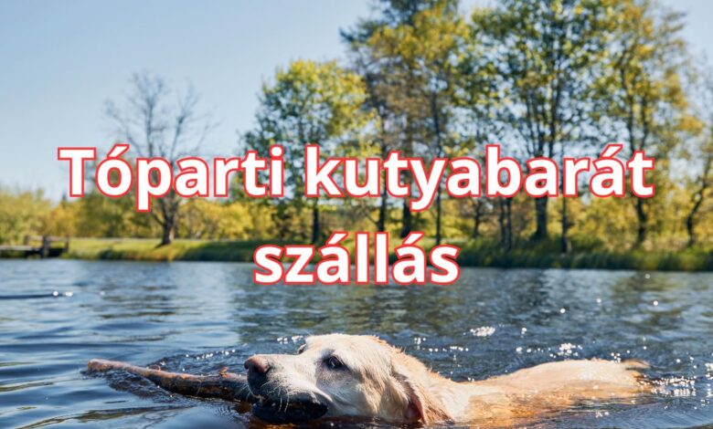tóparti kutyabarát szállás tippek és ötletek