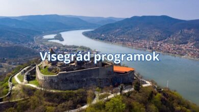 Visegrád programok