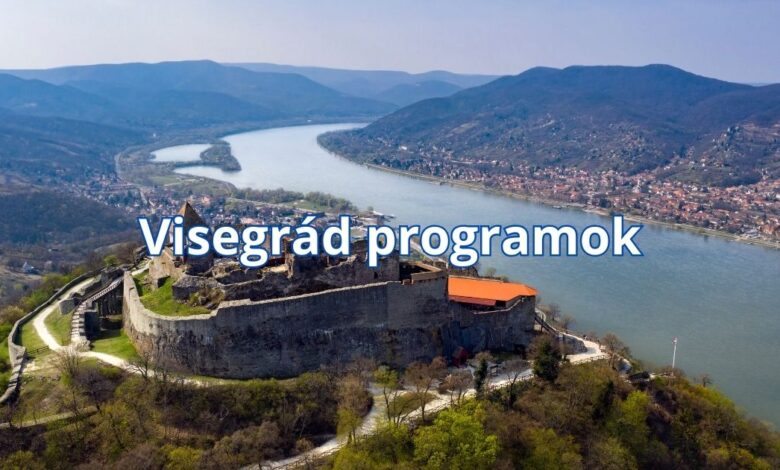 Visegrád programok