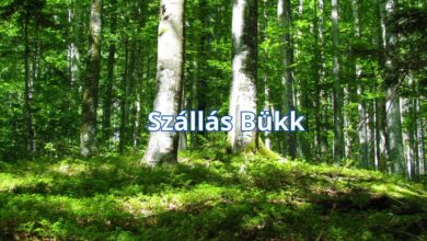 Szállás Bükk