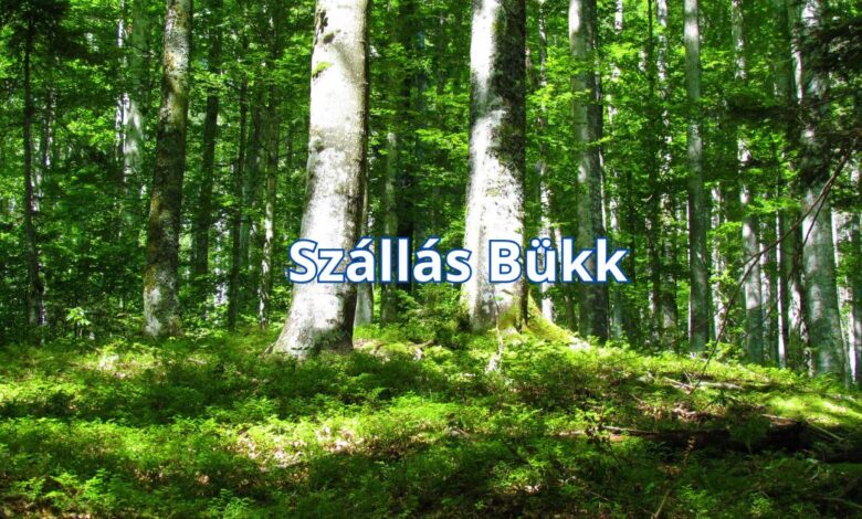 Szállás Bükk