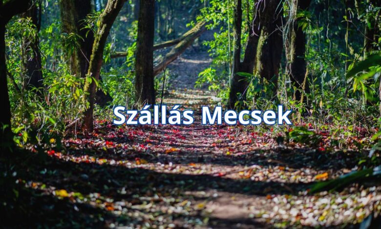 Szállás Mecsek