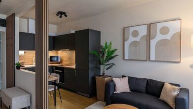 Alba Stay - Campus Székesfehérvár 