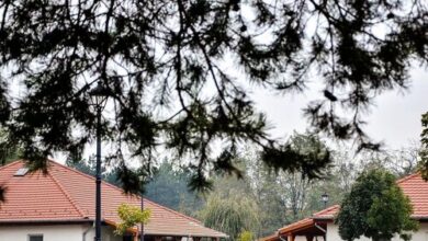 Apartmanpark és Kemping Cegléd 