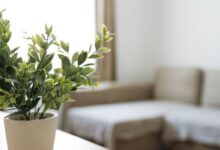 Árpád Nest Apartman Győr 