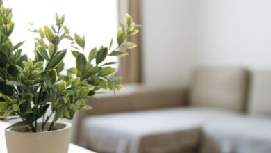Árpád Nest Apartman Győr 