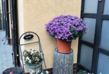 Bobbio Hotel Budapest 