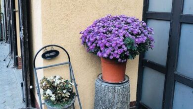 Bobbio Hotel Budapest
