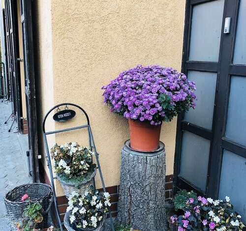 Bobbio Hotel Budapest 
